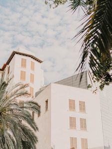 Preview wallpaper building, facade, architecture, white, palm trees