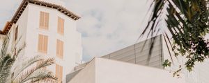 Preview wallpaper building, facade, architecture, white, palm trees