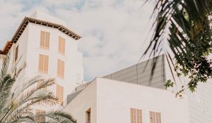 Preview wallpaper building, facade, architecture, white, palm trees