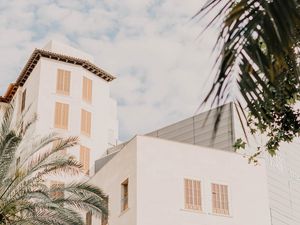 Preview wallpaper building, facade, architecture, white, palm trees