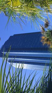 Preview wallpaper building, facade, architecture, palm trees