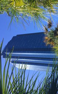 Preview wallpaper building, facade, architecture, palm trees