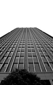Preview wallpaper building, facade, bottom view, bw, tree