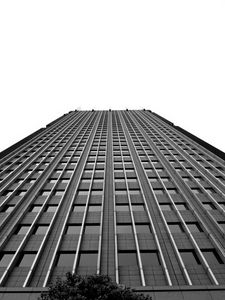 Preview wallpaper building, facade, bottom view, bw, tree