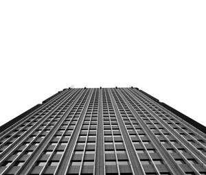 Preview wallpaper building, facade, bottom view, bw, tree