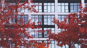 Preview wallpaper building, facade, branches, autumn