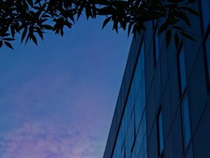 Preview wallpaper building, facade, branches, twilight