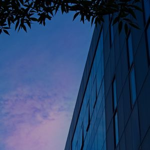 Preview wallpaper building, facade, branches, twilight