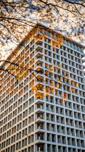 Preview wallpaper building, facade, branches, leaves, autumn