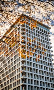 Preview wallpaper building, facade, branches, leaves, autumn