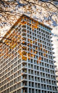 Preview wallpaper building, facade, branches, leaves, autumn