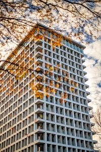 Preview wallpaper building, facade, branches, leaves, autumn