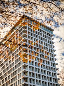 Preview wallpaper building, facade, branches, leaves, autumn