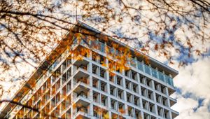 Preview wallpaper building, facade, branches, leaves, autumn