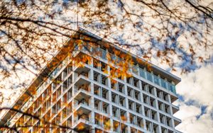 Preview wallpaper building, facade, branches, leaves, autumn