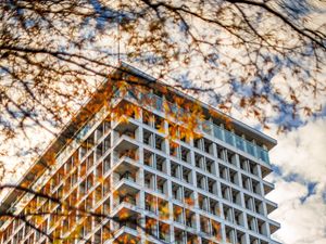 Preview wallpaper building, facade, branches, leaves, autumn