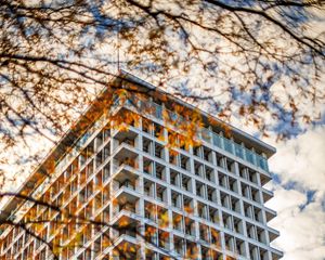 Preview wallpaper building, facade, branches, leaves, autumn