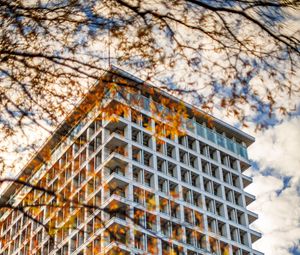 Preview wallpaper building, facade, branches, leaves, autumn