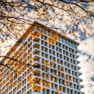 Preview wallpaper building, facade, branches, leaves, autumn