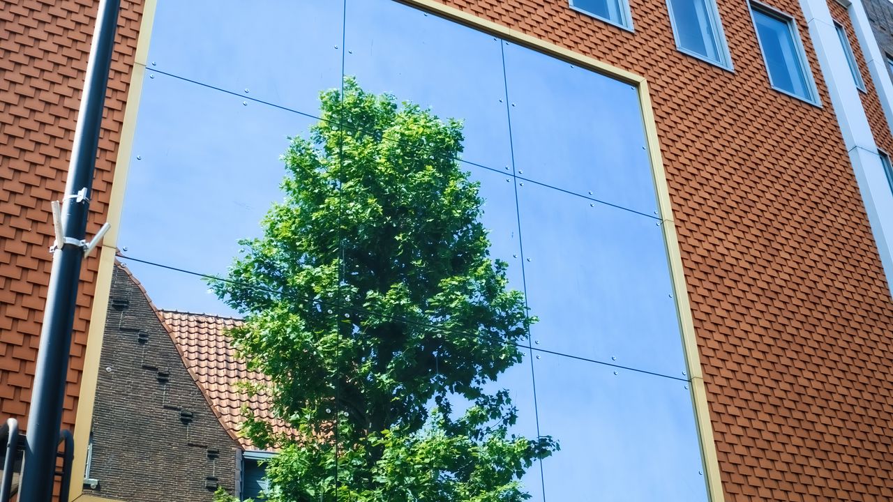 Wallpaper building, facade, mirror, tree