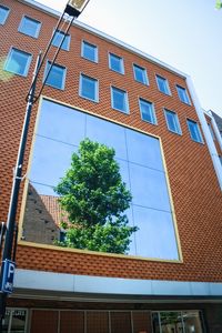 Preview wallpaper building, facade, mirror, tree