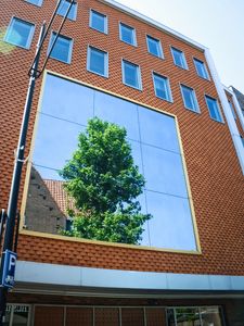Preview wallpaper building, facade, mirror, tree
