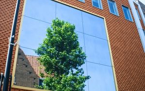 Preview wallpaper building, facade, mirror, tree