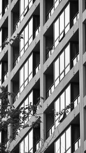 Preview wallpaper building, facade, tree, branches, black and white