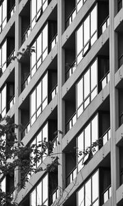 Preview wallpaper building, facade, tree, branches, black and white