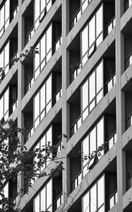 Preview wallpaper building, facade, tree, branches, black and white