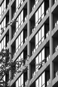 Preview wallpaper building, facade, tree, branches, black and white