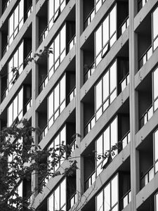 Preview wallpaper building, facade, tree, branches, black and white