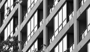 Preview wallpaper building, facade, tree, branches, black and white