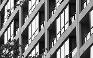 Preview wallpaper building, facade, tree, branches, black and white