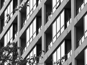 Preview wallpaper building, facade, tree, branches, black and white