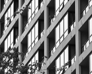 Preview wallpaper building, facade, tree, branches, black and white