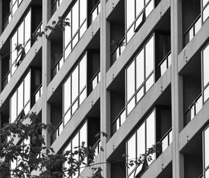 Preview wallpaper building, facade, tree, branches, black and white