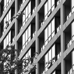 Preview wallpaper building, facade, tree, branches, black and white