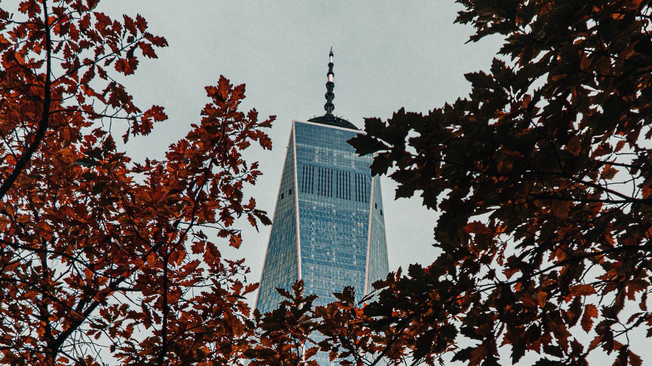 Wallpaper building, facade, trees, branches