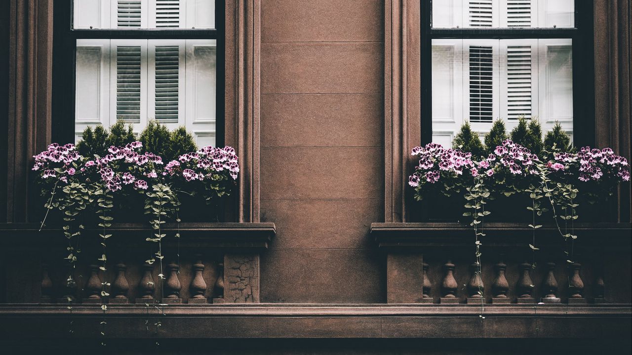 Wallpaper building, facade, windows, flowers, architecture