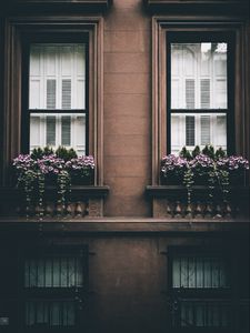 Preview wallpaper building, facade, windows, flowers, architecture