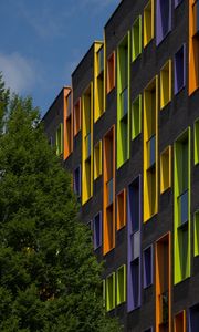 Preview wallpaper building, facade, windows, tree, bright