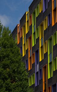 Preview wallpaper building, facade, windows, tree, bright