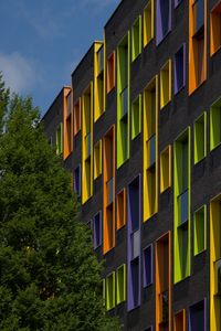Preview wallpaper building, facade, windows, tree, bright