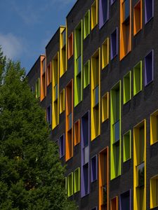 Preview wallpaper building, facade, windows, tree, bright
