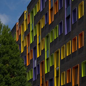 Preview wallpaper building, facade, windows, tree, bright