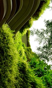 Preview wallpaper building, fern, plants, bushes, green