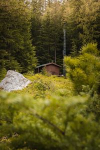 Preview wallpaper building, forest, trees, stone