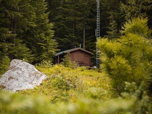 Preview wallpaper building, forest, trees, stone