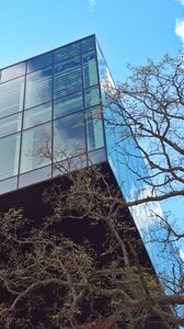 Preview wallpaper building, glass, facade, edges, tree